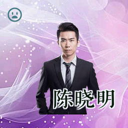 陈晓明